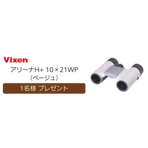 アリーナH+ 10×21WP（ベージュ）