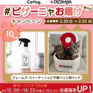 ピザ箱ペット用ベッド　他