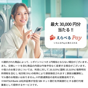 えらべるPay3万円分 他