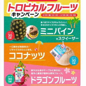 ドールのトロピカルフルーツ 1ケース