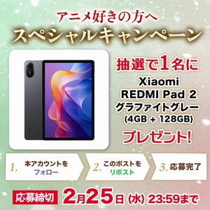 賞品画像：Xiaomi  REDMI Pad 2
