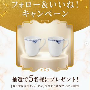 ロイヤルコペンハーゲン プリンセス マグ