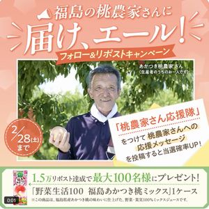 賞品画像：野菜生活100 福島あかつき桃ミックス