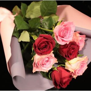 めざましテレビで紹介されたお花