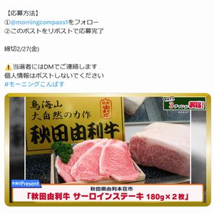 賞品画像：秋田由利牛 サーロインステーキ