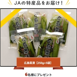 広島菜漬250g×5袋