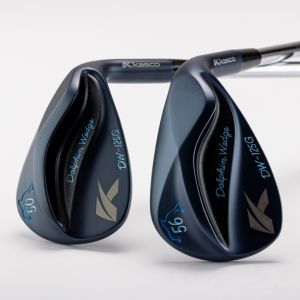 賞品画像：ゴルフクラブDOLPHIN WEDGE DW-125G