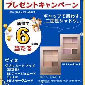 賞品画像：ヴィセ ダブル ムード アイズ（限定色）