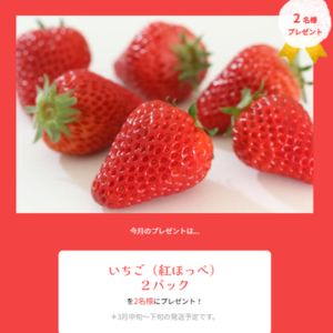 いちご（紅ほっぺ） 2パック