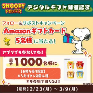 Amazonギフト券500円分 他