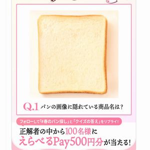 えらべるPay500円分