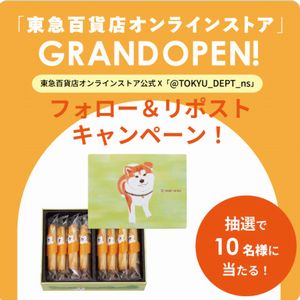 ヨックモック ハチ公プティシガール