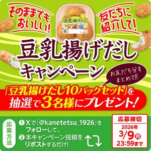 豆乳揚げだし10パックセット