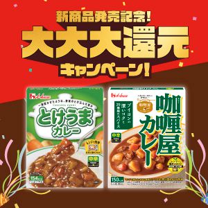 実質全額キャッシュバック コース　他