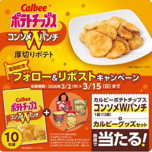 ポテトチップス コンソメWパンチ　他