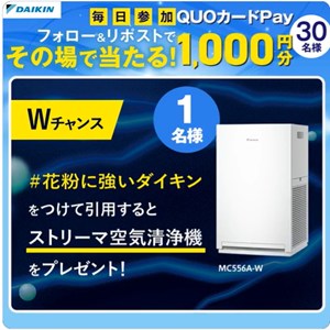 QuoカードPay1,000円分やストリーマ空気清浄機 他