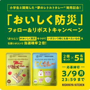 夢のレトルトカレー 2個セット