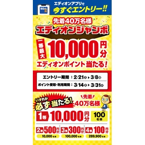 エディオンポイント10,000円分 他