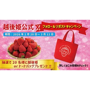 賞品画像：新潟県ブランドいちご「越後姫」 他