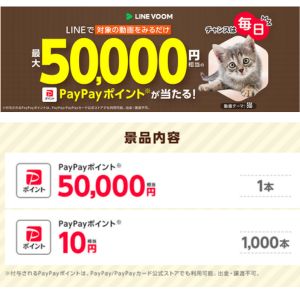 PayPayポイント50,000円相当 他