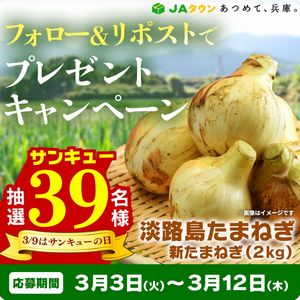 賞品画像：淡路島たまねぎ「新たまねぎ」