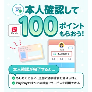 PayPayポイント100ポイント