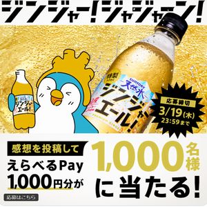 えらべるPay1,000円分