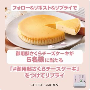 御用邸さくらチーズケーキ 1ホール