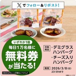 デミグラスハンバーグ　他