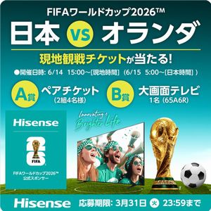 ワールドカップ 観戦チケット　他