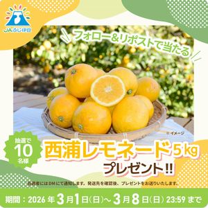 JAふじ伊豆の西浦レモネード