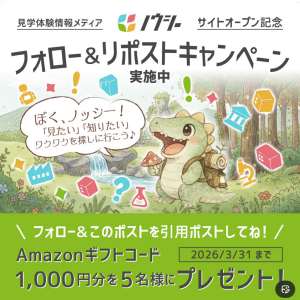 Amazonギフトコード1,000円分