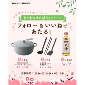 バーミキュラホーロー鍋 22cm(グレー)＆ボーソー米油2個セット 他