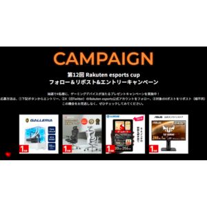 賞品画像：ゲーミングPC ガレリア FGC5M-R56-W 他