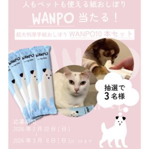 ペットにも使える紙おしぼり「WANPO」