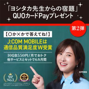 QUOカードPay500円分