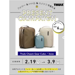 ギアケース スーリー キャズム ギアキューブ