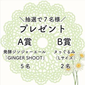 発酵ジンジャーエール GINGER SHOOT 他