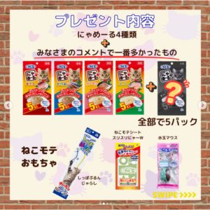 猫用おやつ＆おもちゃ詰め合わせ