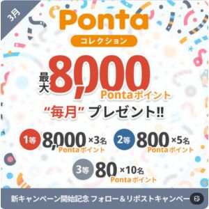 Pontaポイント8,000ポイント 他