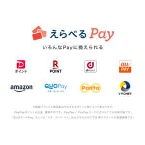 えらべるPay500ポイント