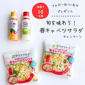旬を味わう！春キャベツサラダセット