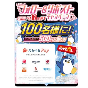 選べるPay500円分