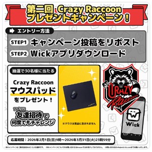 CrazyRacoonマウスパッド