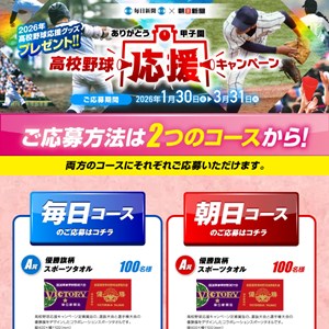高校野球 優勝旗柄スポーツタオル 他