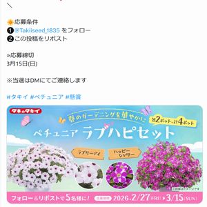 ペチュニア ラブハピセット