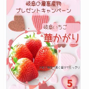 岐阜県産オリジナルいちご「華かがり」