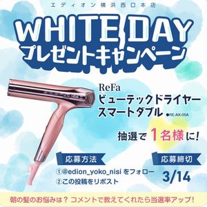 ReFa ビューテックドライヤースマートダブル