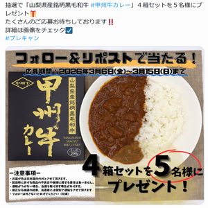 山梨県産銘柄黒毛和牛 甲州牛カレー