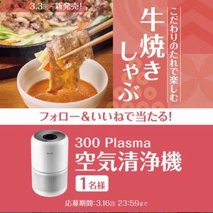 300 Plasma 空気清浄機